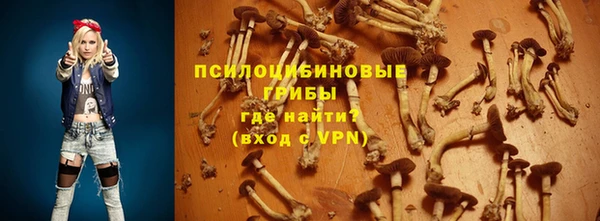 сатива Армянск
