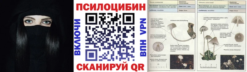 Псилоцибиновые грибы GOLDEN TEACHER  blacksprut ТОР  Завитинск 
